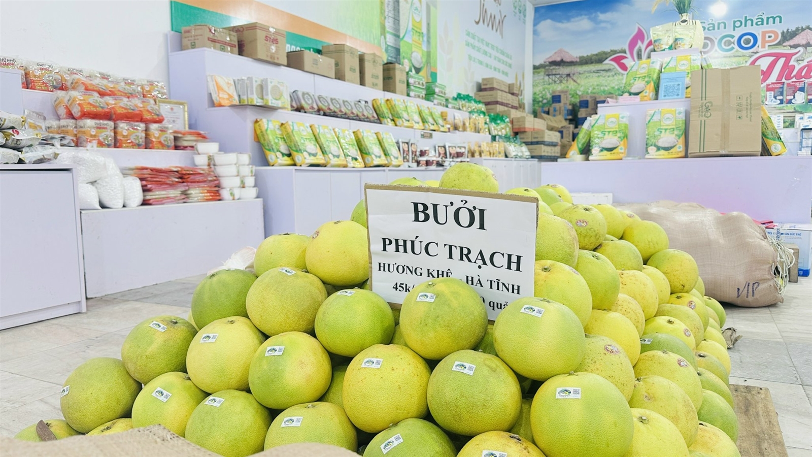 60 gian hàng được trưng bày tại “Phiên chợ Nông sản, Đặc sản vùng miền năm 2025”